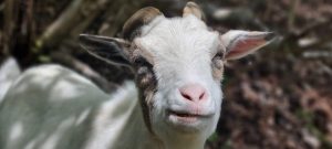 Screenshot_20240504_074526_Gallery