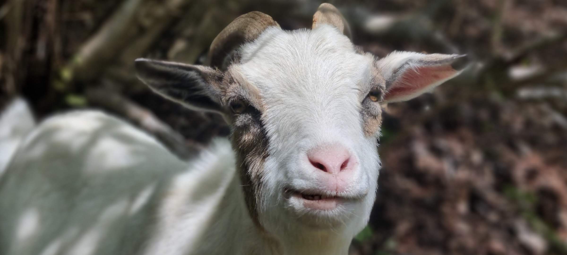 Screenshot_20240504_074526_Gallery